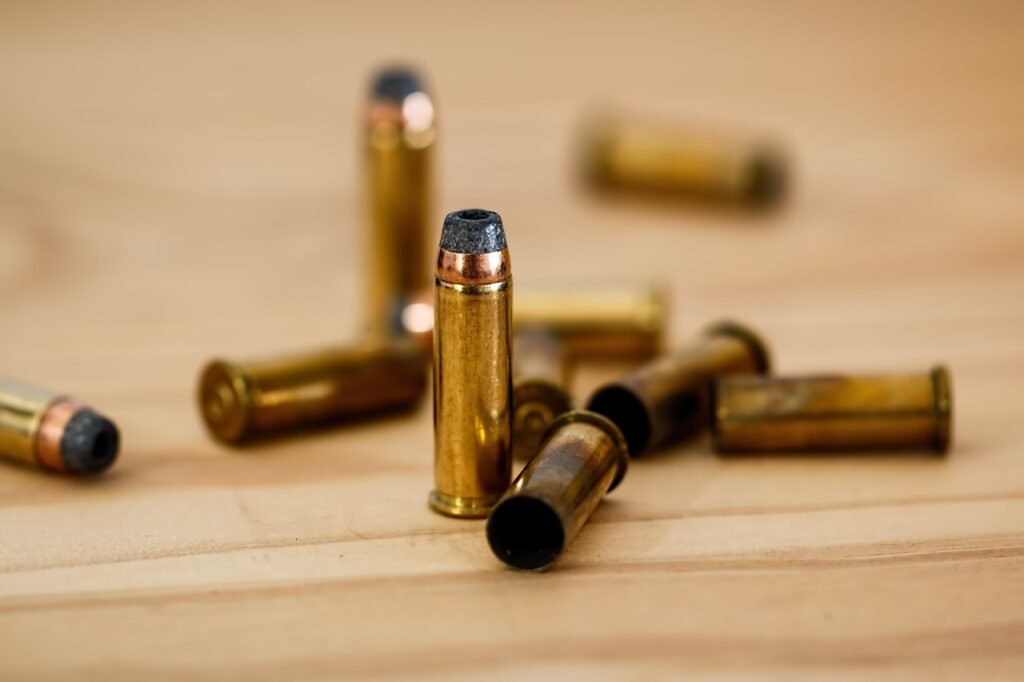bullet, cartridge, ammunition, crime, ammo, shell, bullets, crime scene, defense, round, shooting, shoot